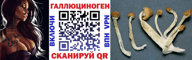 shop наркотические препараты  наркотики  Новомосковск  Галлюциногенные грибы мицелий  блэк спрут зеркало 